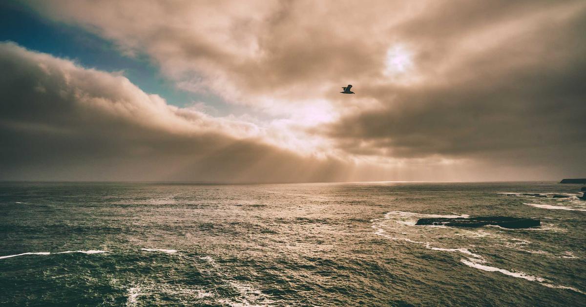 Wildscape Landscaping Penticton