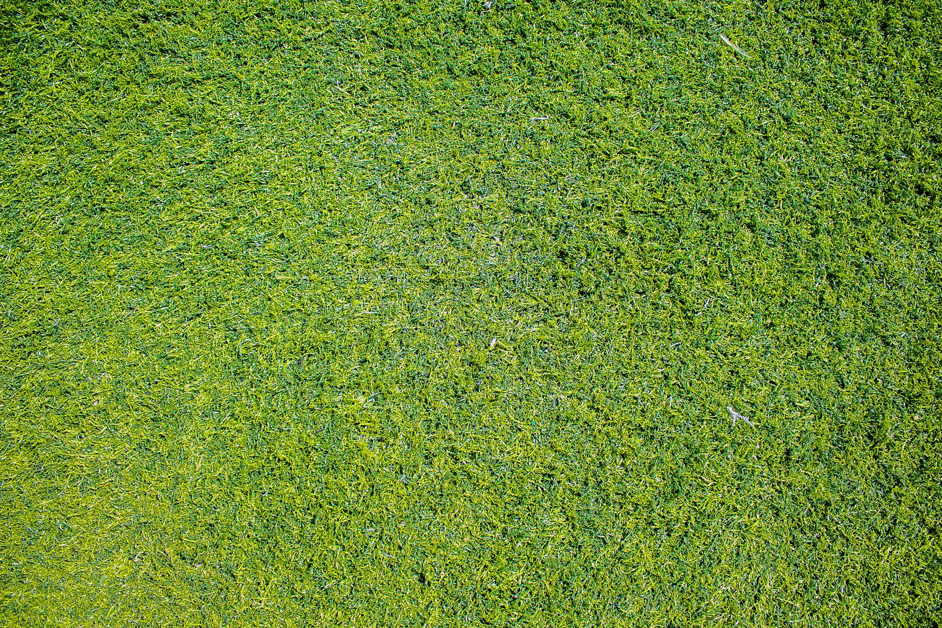 lawn aeration Penticton
