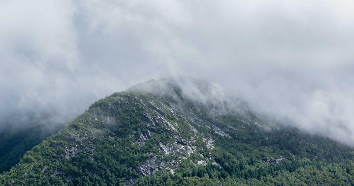 free landscaping quote Penticton