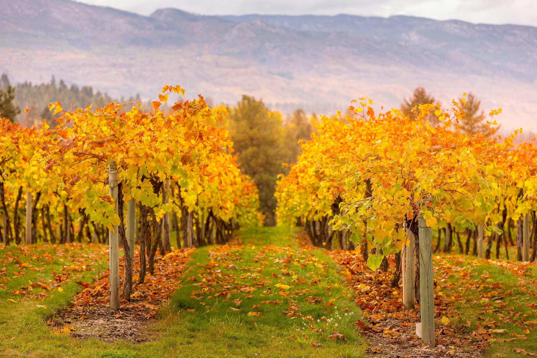 landscaping Naramata BC