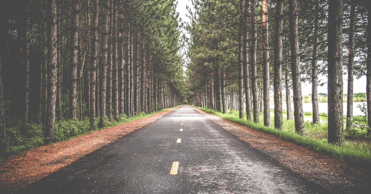 landscaping Oliver BC