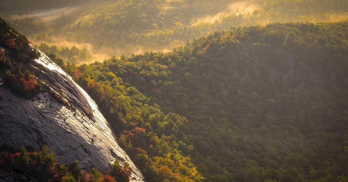 lawn care Peachland BC