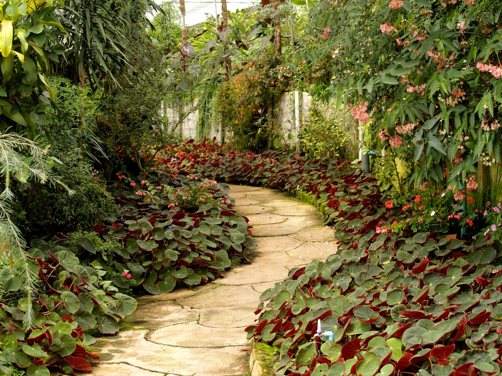 landscaping Penticton BC
