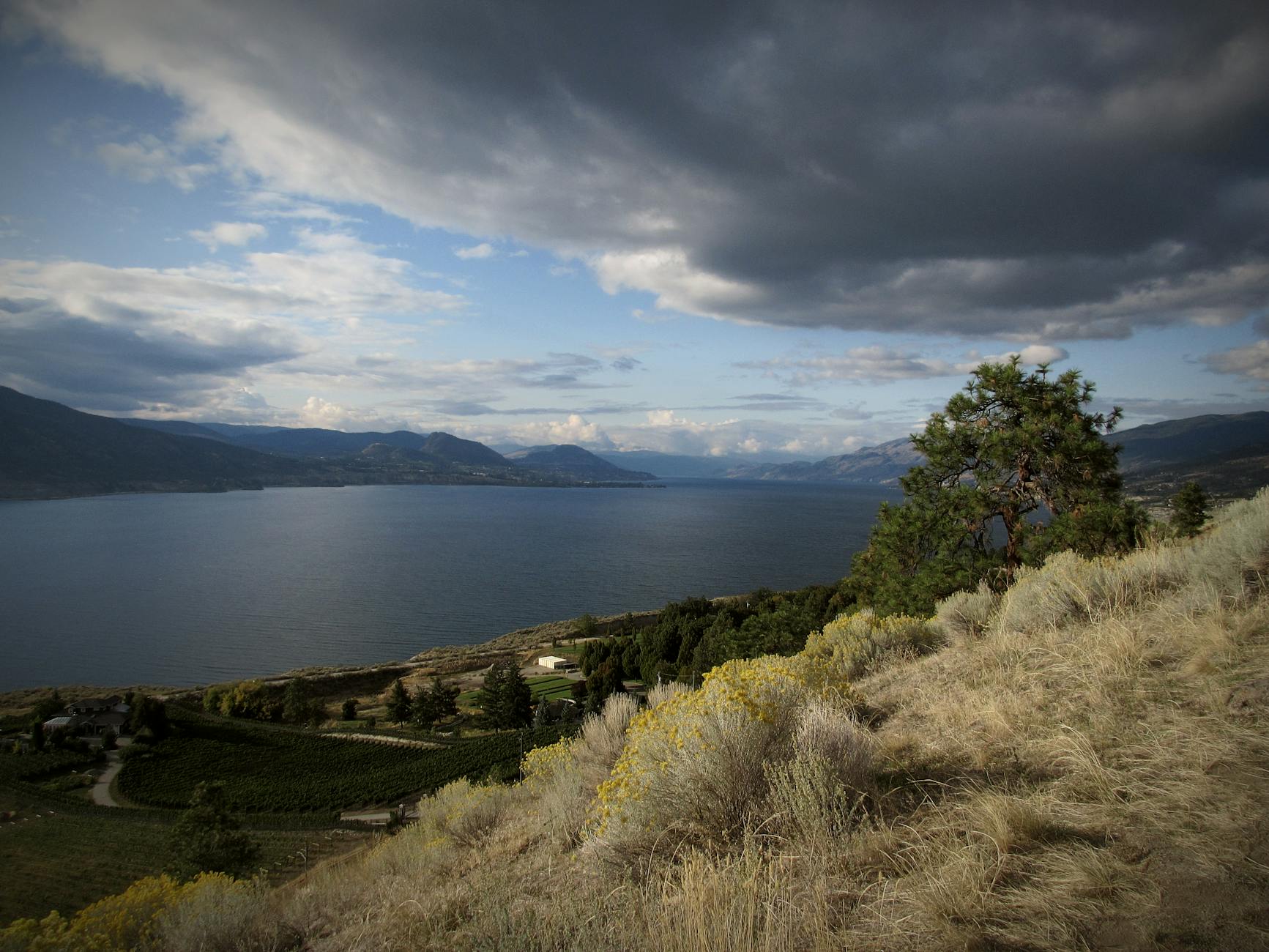landscaping Summerland BC