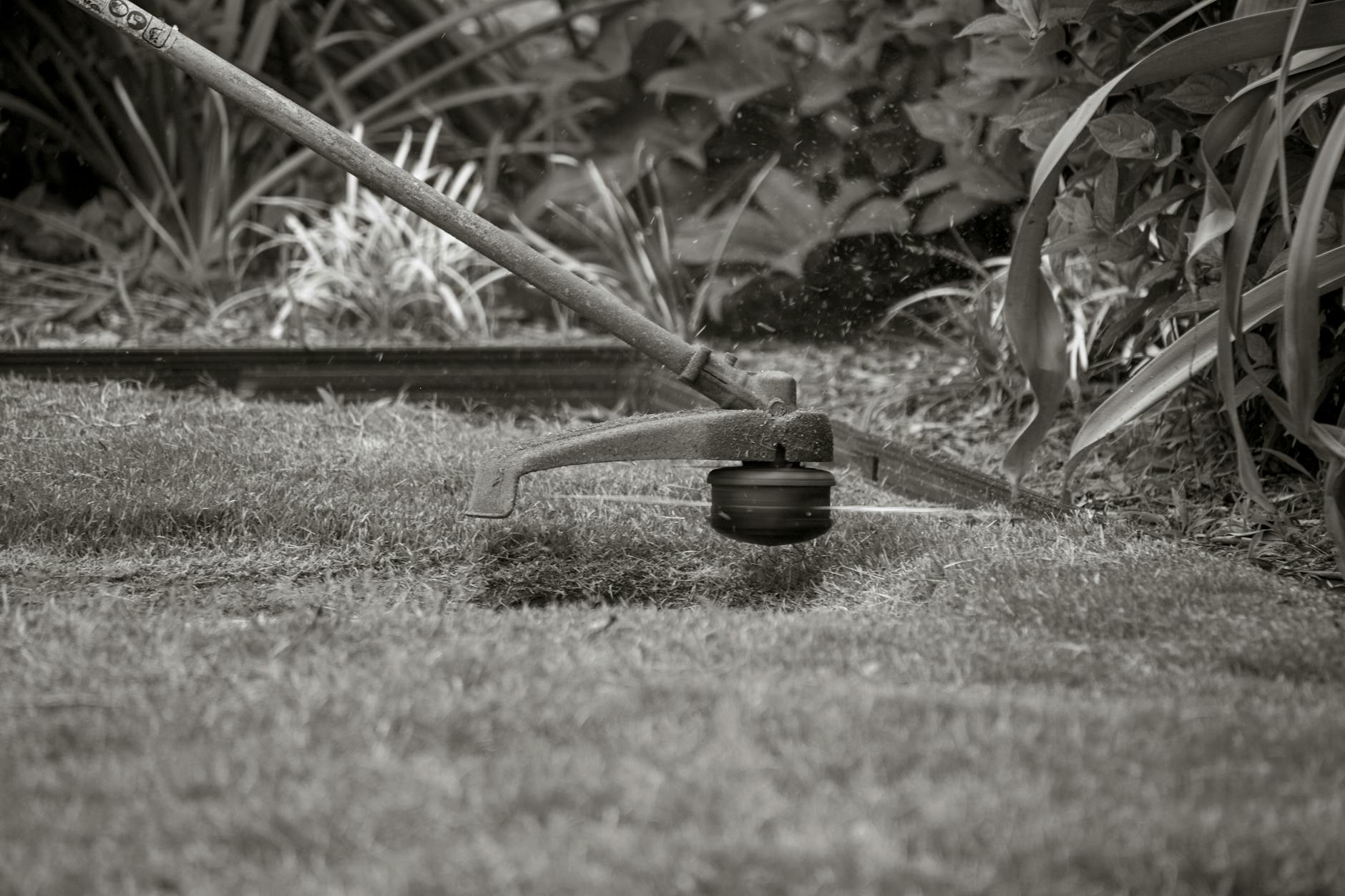 lawn treatments Penticton