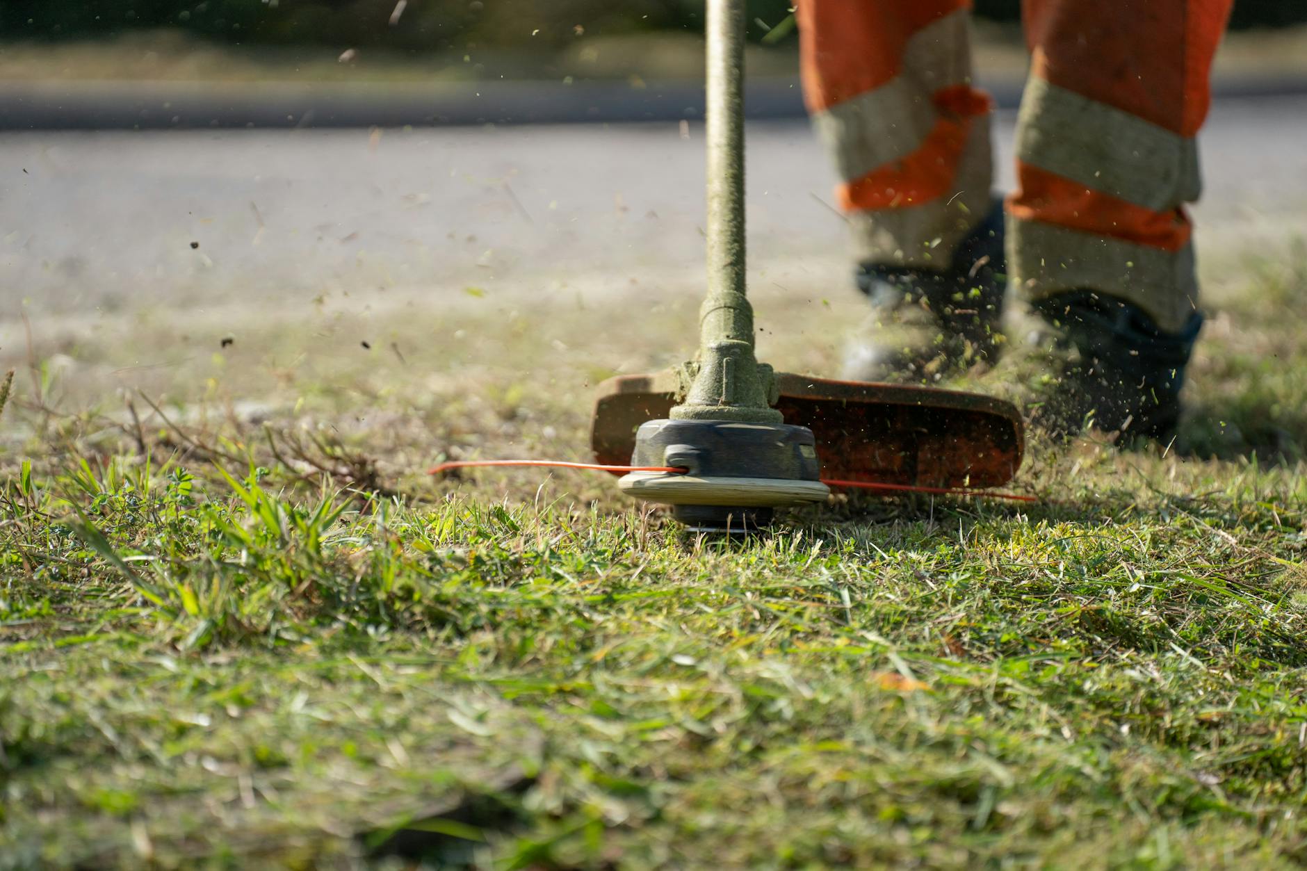 lawn treatments Penticton