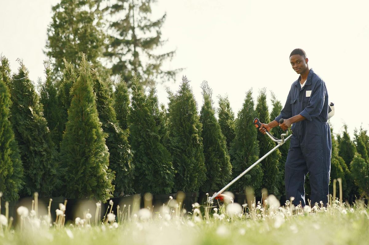 landscaping services Penticton